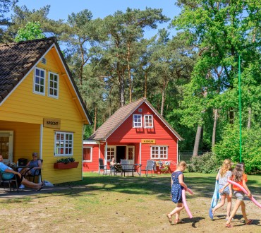 Heldense Bossen - LimburgCover optie 1 .jpg