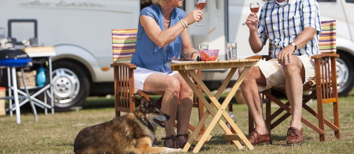 Honden - Zeeuwse Kust