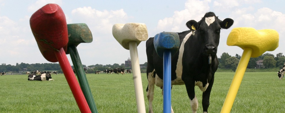 Boerengolfen in Kessel