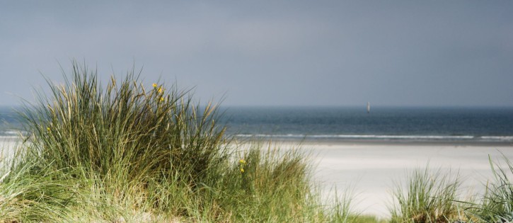 Foto strand 2.jpg