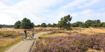 fietsen-in-de-omgeving-van-de-haeghehorst.jpg