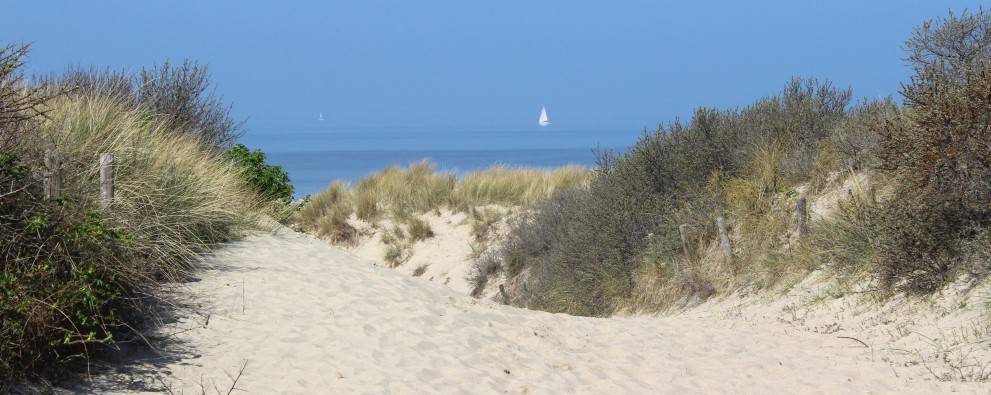 Duinen Cadzand-Bad Duinen Cadzand-Bad
