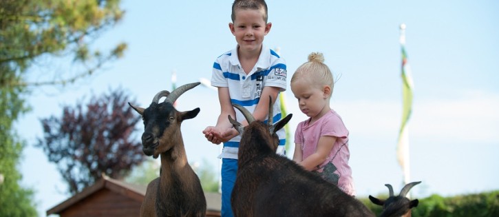 Kids - International - dierenweide