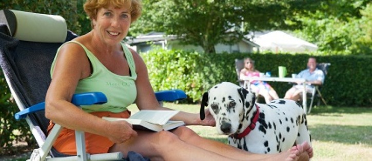 Honden - Zwinhoeve