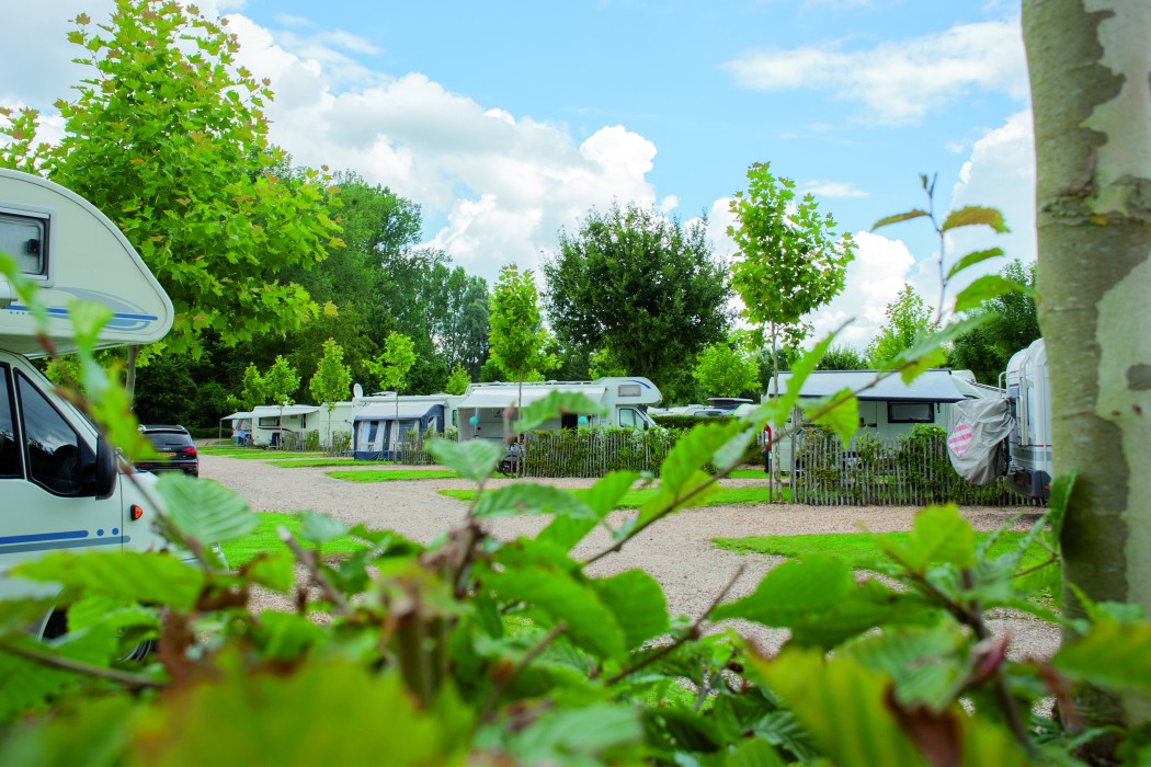 Camping 't Geuldal