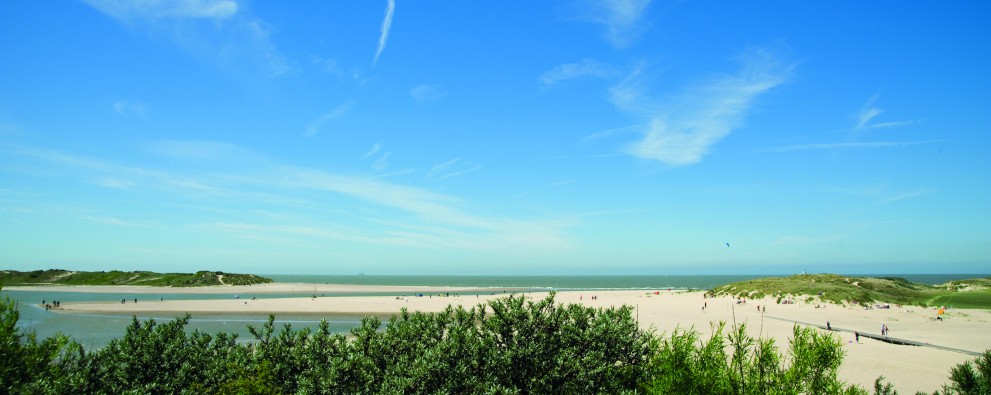 Zwingebied Zwingebied