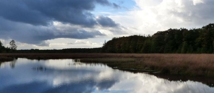 Omgeving