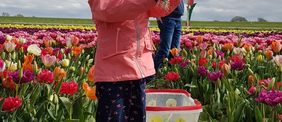 Floratuin Julianadorp