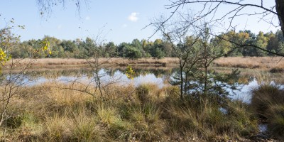 omgeving veluwe.jpg