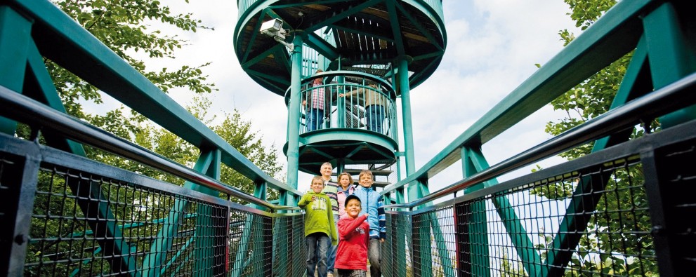 Buitencentrum boomkroonpad
