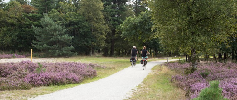 Fietsen op de hei.jpg