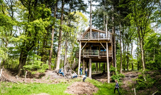 Treehouse (Boomhut XXL) (13).jpg