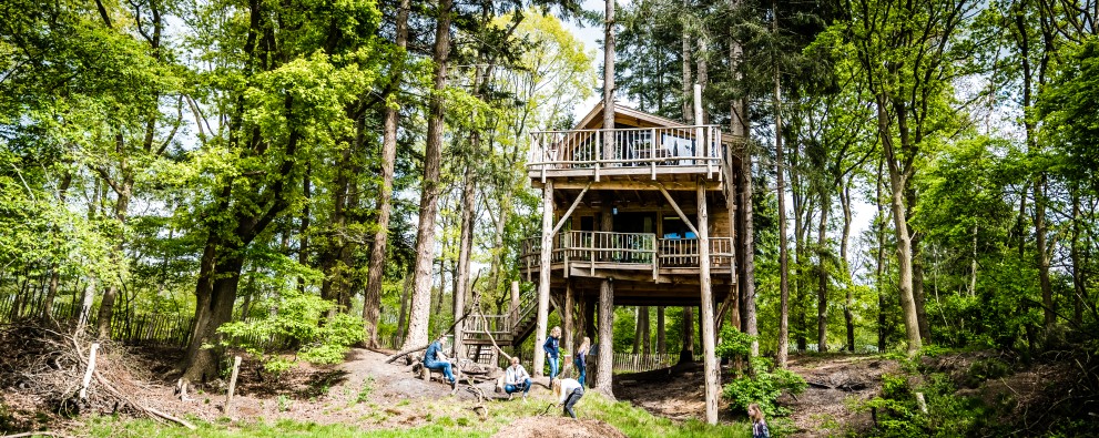 Treehouse (Boomhut XXL) (13).jpg Treehouse (Boomhut XXL) (13).jpg