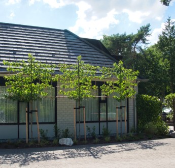 Camping De Haeghehorst-Ermelo-appartement-voorkant2jpeg.jpeg