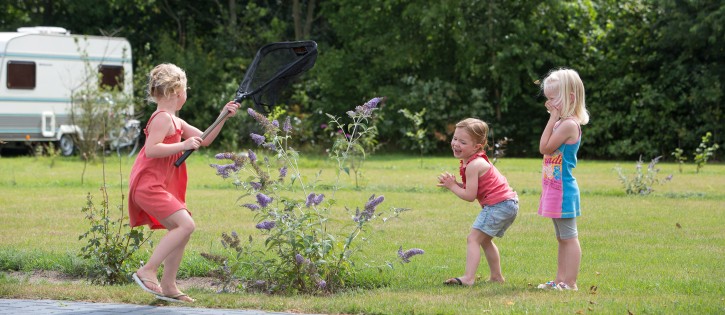 Kids - Rheezerwold - vlinders vangen