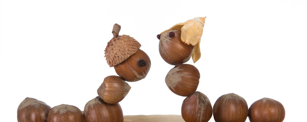 Kastanje creatie Kastanje creatie