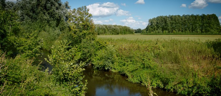 Langs de Geul Camping ´t Geuldal (6).jpg