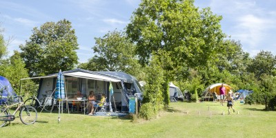 Ruime kampeerplaats Camping Ginsterveld