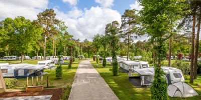 Kamperen camping heldense bossen