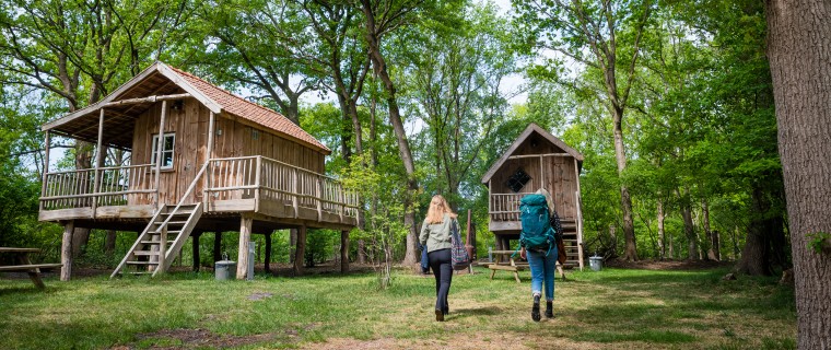 Torentjeshoek 2020 Lopen naar Boomhut type 1 - veld 40