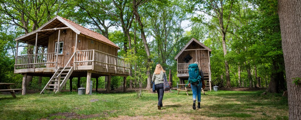 Torentjeshoek 2020 Lopen naar Boomhut type 1 - veld 40