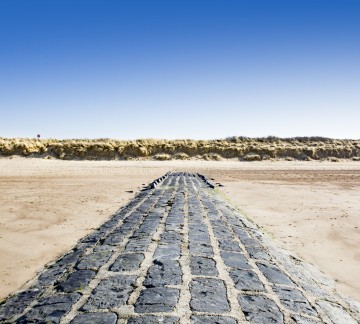 Zwin - Depositphoto2 .jpg