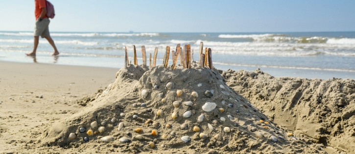 Strand SMZ.jpg