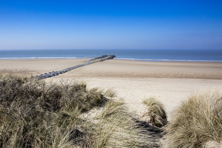 Zwin Natuurpark - België Uitje - Ardoer.com