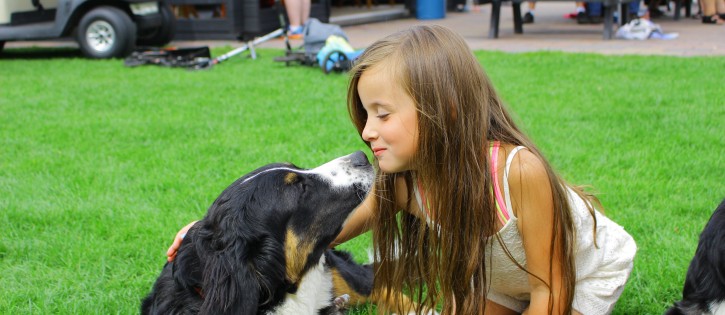 honden