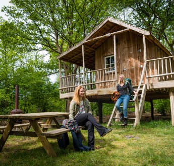 Torentjeshoek 2020 Boomhut type 2 - veld 36