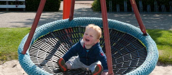 Kids - Ginsterveld - nestschommel