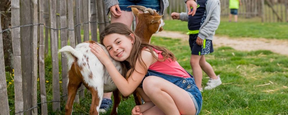 International - Campings met kinderboerderij International - Campings met kinderboerderij