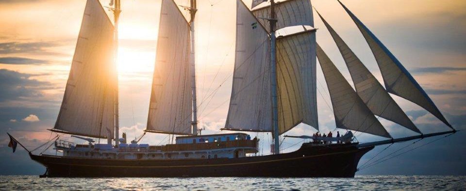 Sail Den Helder Zon