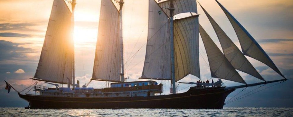 Sail Den Helder Zon Sail Den Helder Zon