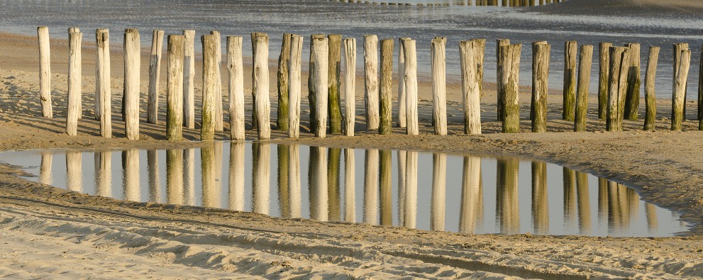 Zoutelande Zoutelande