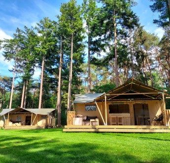 Safari tenten 5 en 7 persoons