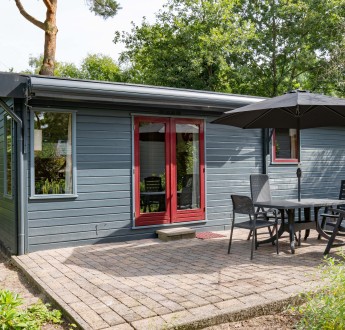 Erica - Type E (1).jpg