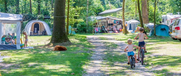 Kamperen in de natuur Vakantiedorp de Jutberg