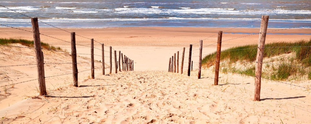 Hoofd header.jpg Hoofd header.jpg