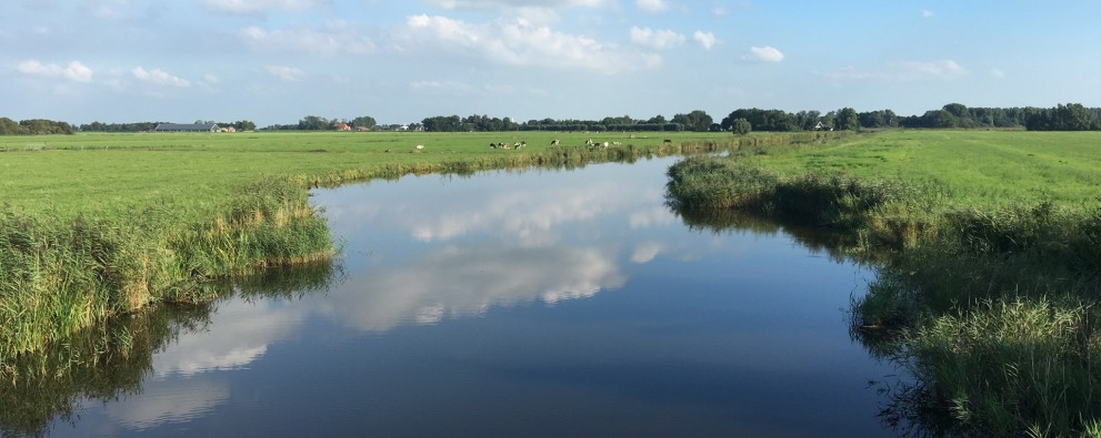 Tjeukemeer