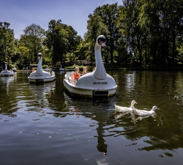 Binky - RobVossFoto 2024 BINKY 15 (klein).jpg