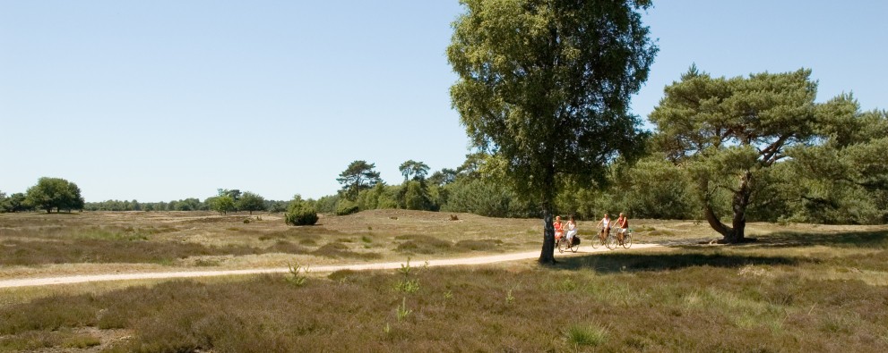 Vakantieparken - Brabant UB Vakantieparken - Brabant UB