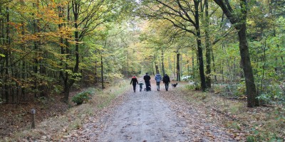 herfst 3.JPG