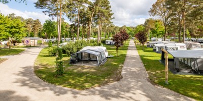 Kamperen bij De Heldense Bossen
