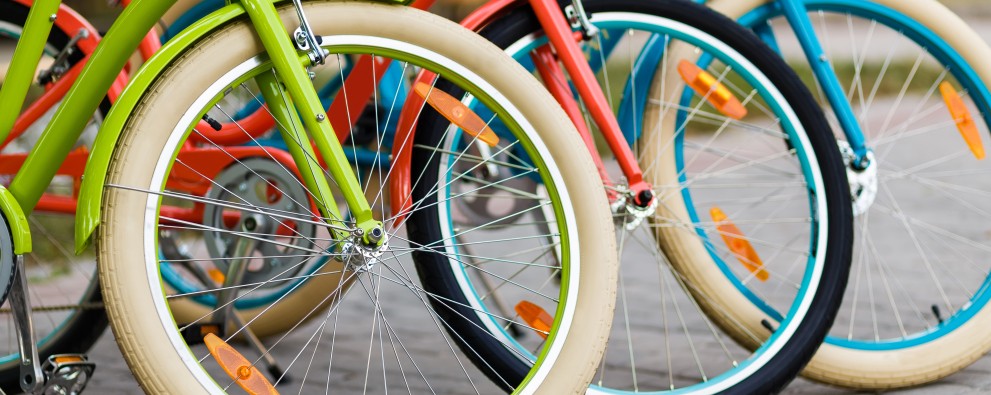 Campings met fietsverhuur Campings met fietsverhuur