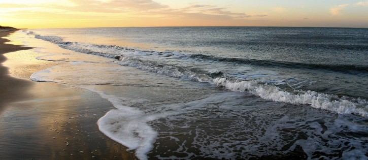 Renesse.JPG